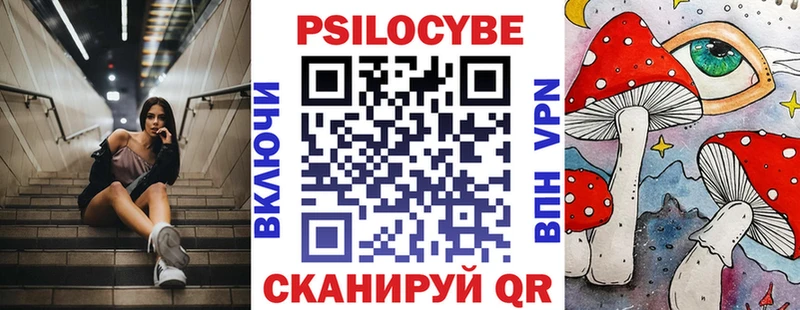 Купить  Судогда  Галлюциногенные грибы MAGIC MUSHROOMS 